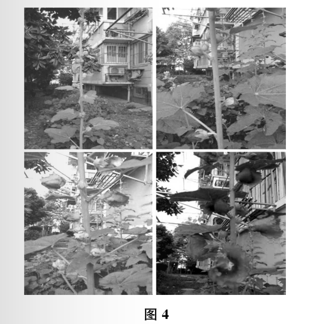 画面定格,让文字更具体